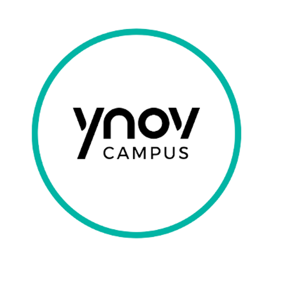 /ynov.webp